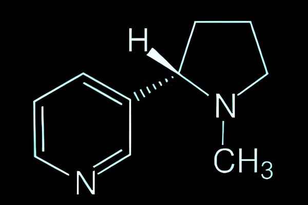 Nicotine chemical composition
